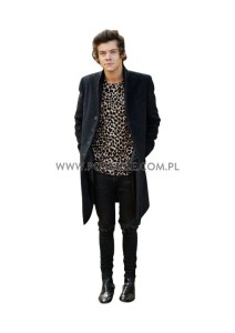 Harry Styles