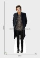 Harry Styles 01.jpg