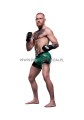 Conor McGregor z kartonu sklep internetowy