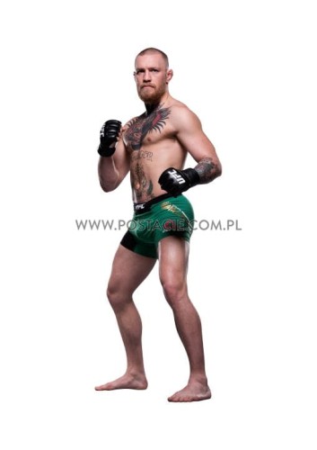 Conor McGregor z kartonu sklep internetowy