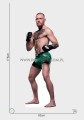 Conor McGregor z kartonu sklep internetowy