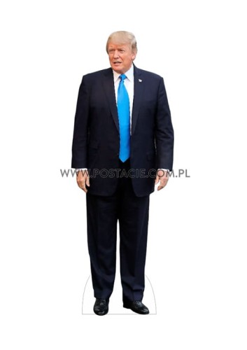 Donald Trump z kartonu sklep internetowy