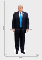 Donald Trump z kartonu sklep internetowy