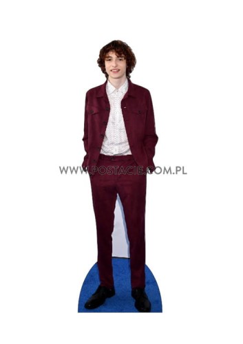 Finn Wolfhard z kartonu sklep internetowy
