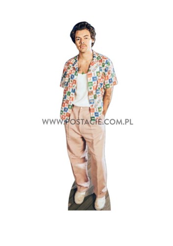Harry Styles z kartonu sklep internetowy