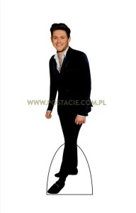 Niall Horan (2)