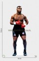 Mike Tyson z kartonu sklep internetowy
