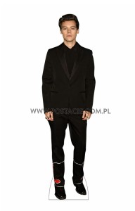 Harry Styles  (2)