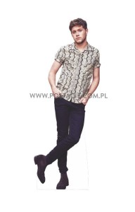Niall Horan (3)
