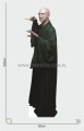 Lord Voldemort z kartonu sklep internetowy