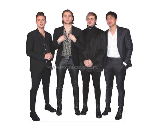 5SOS z kartonu sklep internetowy