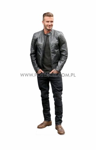 David Beckham z kartonu sklep internetowy