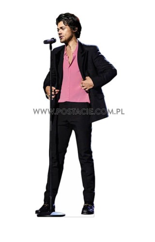 Harry Styles