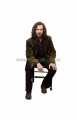 Sirius Black z kartonu sklep internetowy