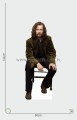 Sirius Black z kartonu sklep internetowy