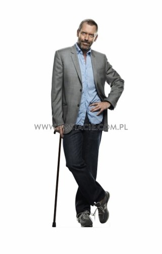 Hugh Laurie z kartonu sklep internetowy