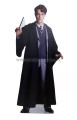Tom Riddle karton przod.jpg