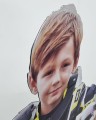 Kształt 1/2 outdoor z kartonu sklep internetowy