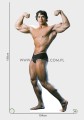 Arnold Schwarzenegger z kartonu sklep internetowy