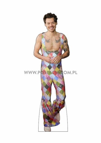 Harry Styles (6) z kartonu sklep internetowy