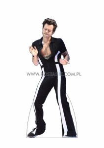 Harry Styles  (9)