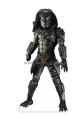 Predator 02b.jpg