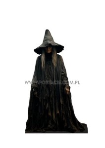 Witch 