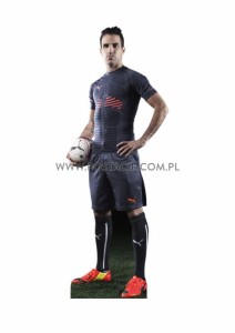 Cesc Fabregas