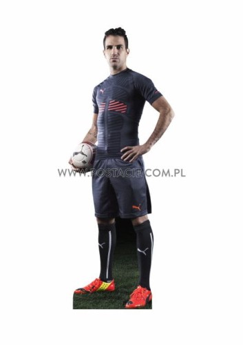Fabregas b.jpg