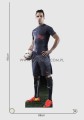 Fabregas a.jpg
