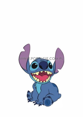 Stitch b.jpg