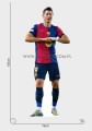 Robert Lewandowski (4) z kartonu sklep internetowy