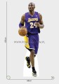 Kobe Bryant 02 a.jpg