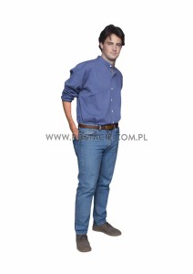 Mathew Perry Chandler