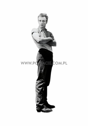 James Dean z kartonu sklep internetowy