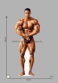 Kevin Levrone z kartonu sklep internetowy