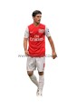 Mikel Arteta1.jpg Mikel Arteta z kartonu sklep internetowy
