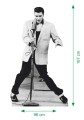 Elvis-Presley-a.jpg