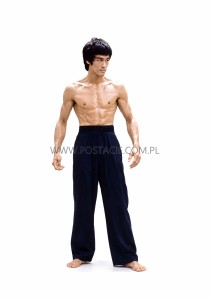 Bruce Lee (2)